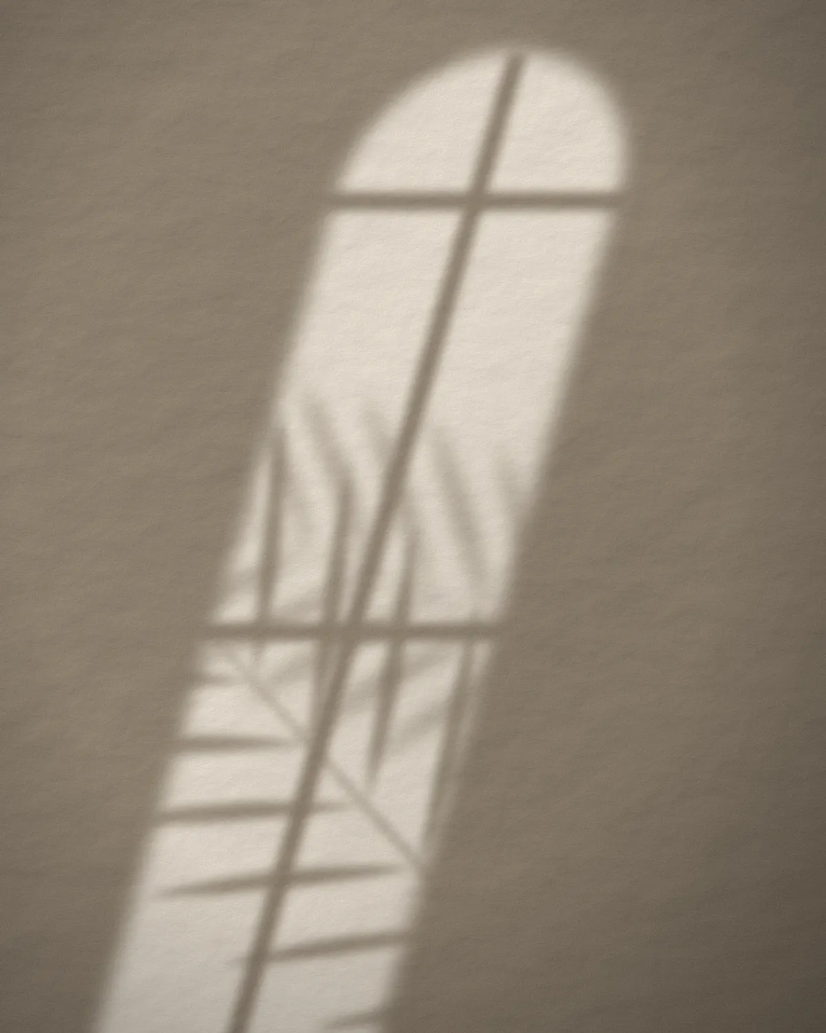 Luz da janela e sombra de palmeira sobre parede de reboco